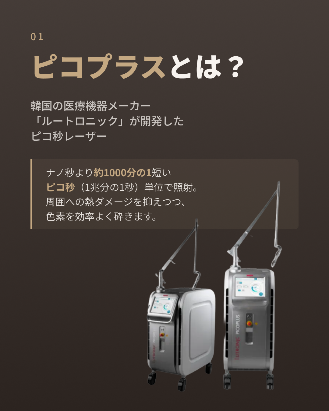 🔍 ピコプラス(PicoPlus)とは?