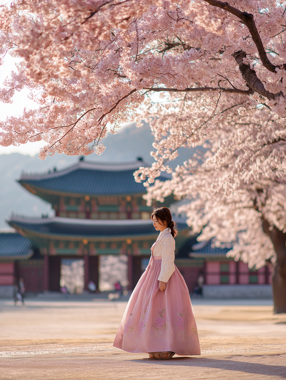 🇯🇵 日本との違い・韓国お花見の楽しみ方