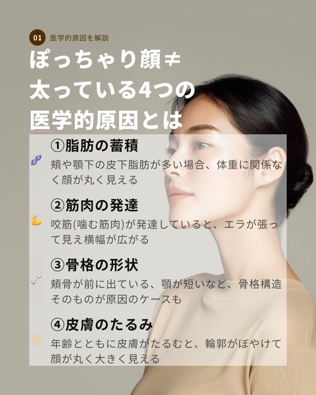 🎯 顔のボリュームに関わる4つの医学的要素