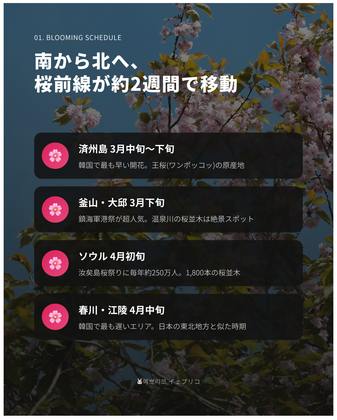 📍 地域別・開花時期の目安