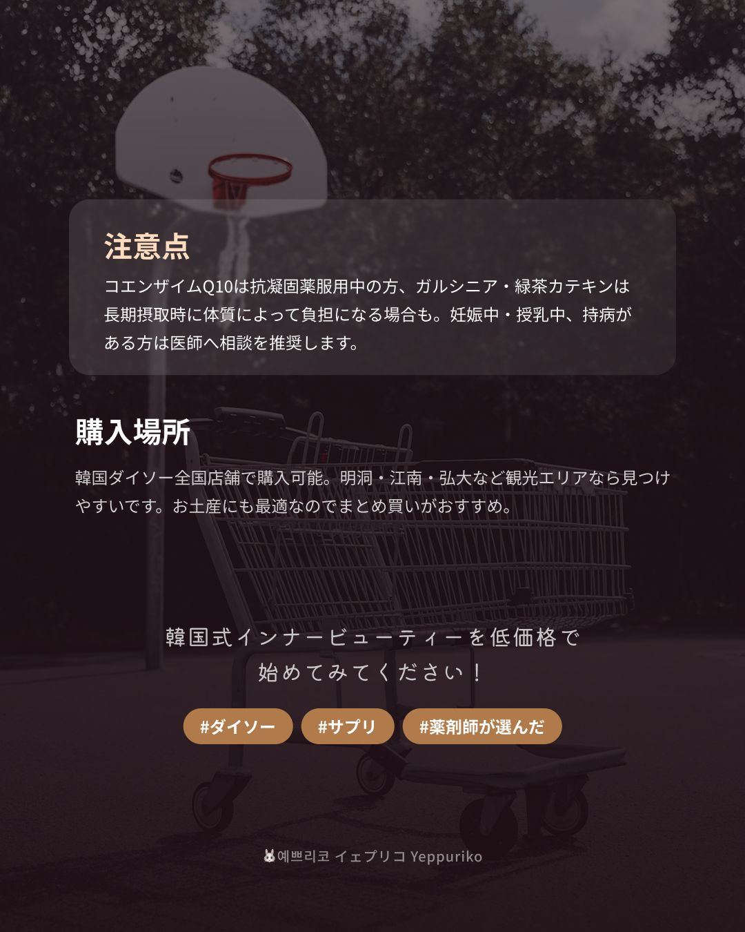 💡 薬剤師目線のサプリ選び方ガイド