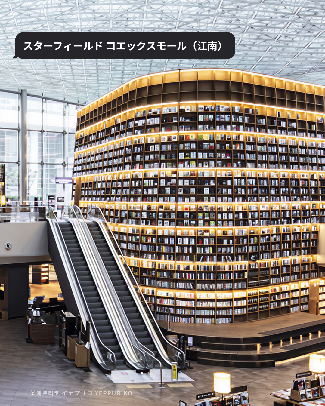 🛒 01｜ロッテ百貨店（明洞）― ソウル最大級の総合デパート