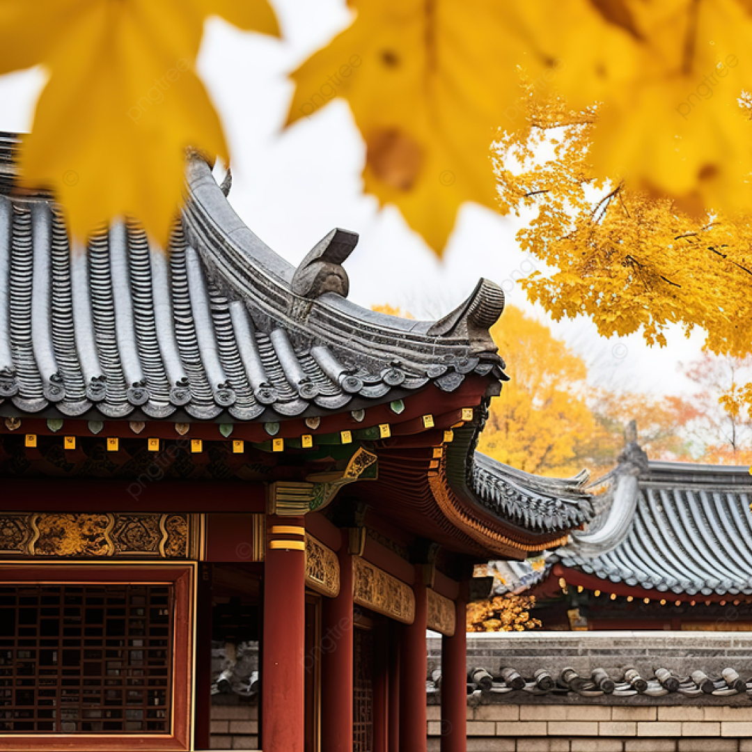 【韓国】ソウルの紅葉スポット完全ガイド！旅行スタイル別おす