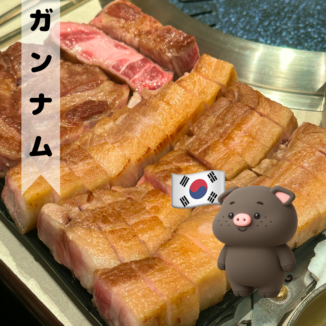 江南で話題のイベリコ豚専門店「돝고기506」506時間熟成