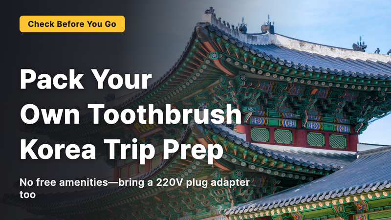 South Korea Travel Packing Checklist | Bring Your Own Toothbrush