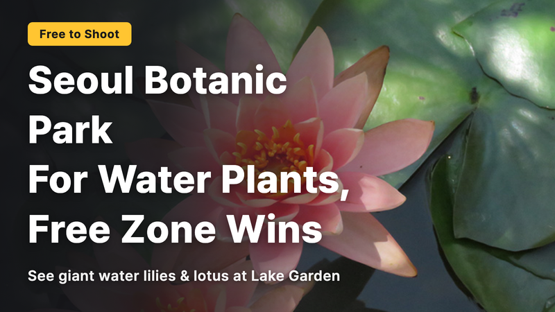 Seoul Botanic Park’s Aquatic Plant Exhibition—the free area is the right choice.