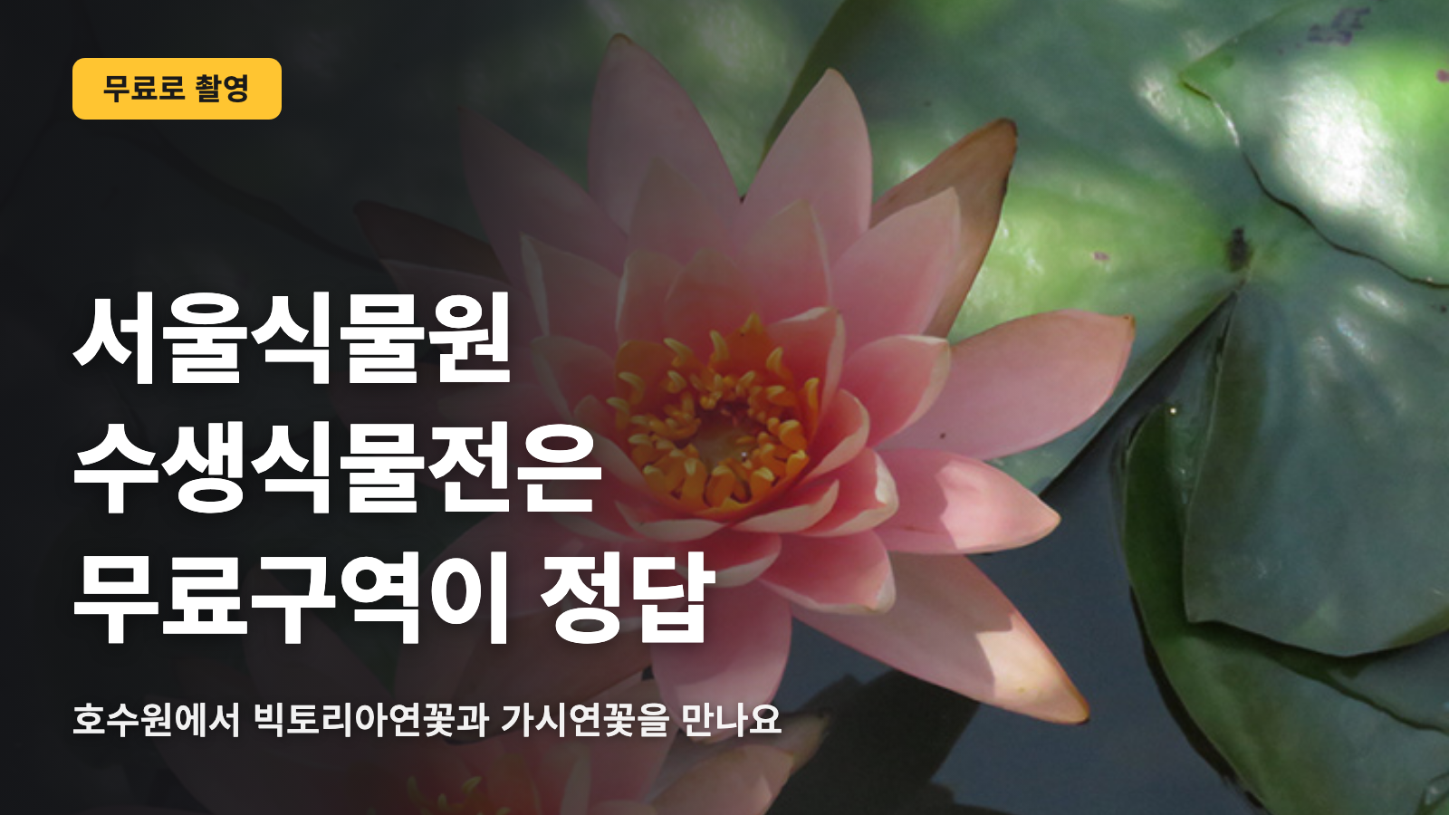 서울식물원 수생식물 전시, 무료 구역이 정답