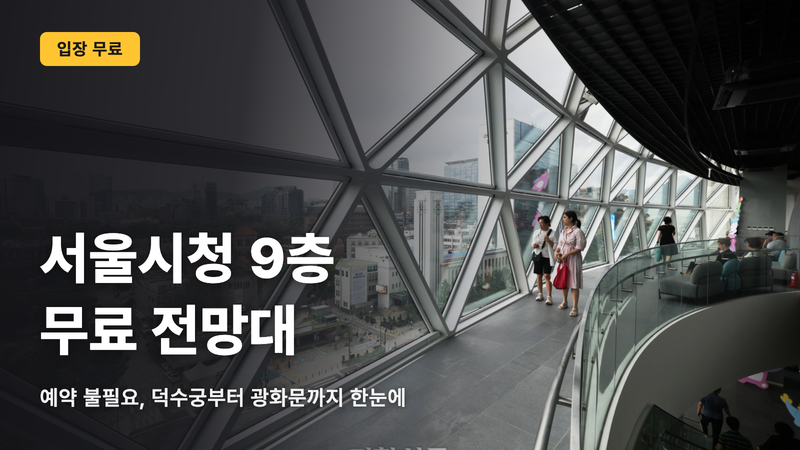 무료로 이런 전망을. 서울시청 9층 전망대