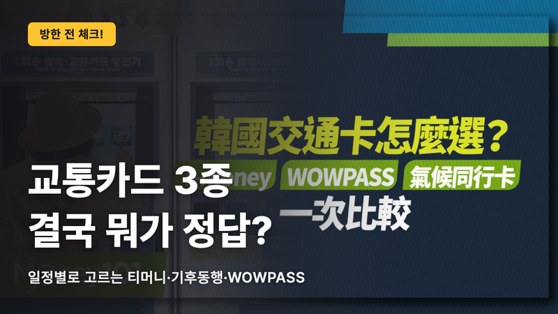 한국 교통카드 3장, 결국 뭐가 정답