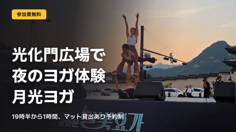 光化門広場で無料ヨガ 夜7時半の月光ヨガ