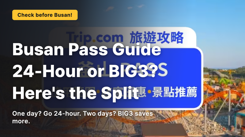 Busan Pass: The Difference Between the 24-Hour and BIG3 Options