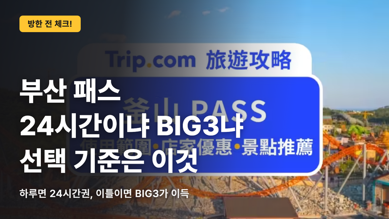 부산 패스, 24시간권과 BIG3의 차이
