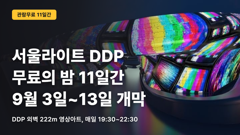 서울라이트 DDP 무료의 밤 11일간