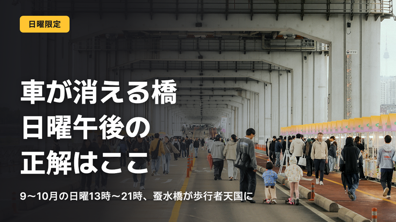 車が消える蚕水橋、日曜午後の正解
