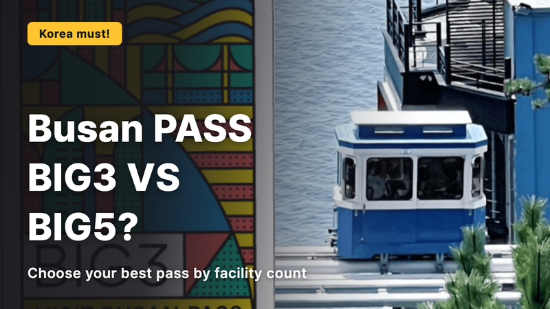 Busan PASS: The Difference Between BIG3 and BIG5