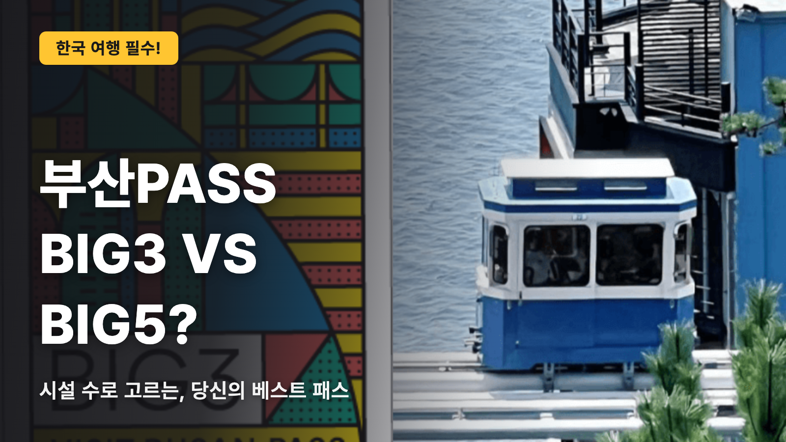 부산PASS, BIG3와 BIG5의 갈림길