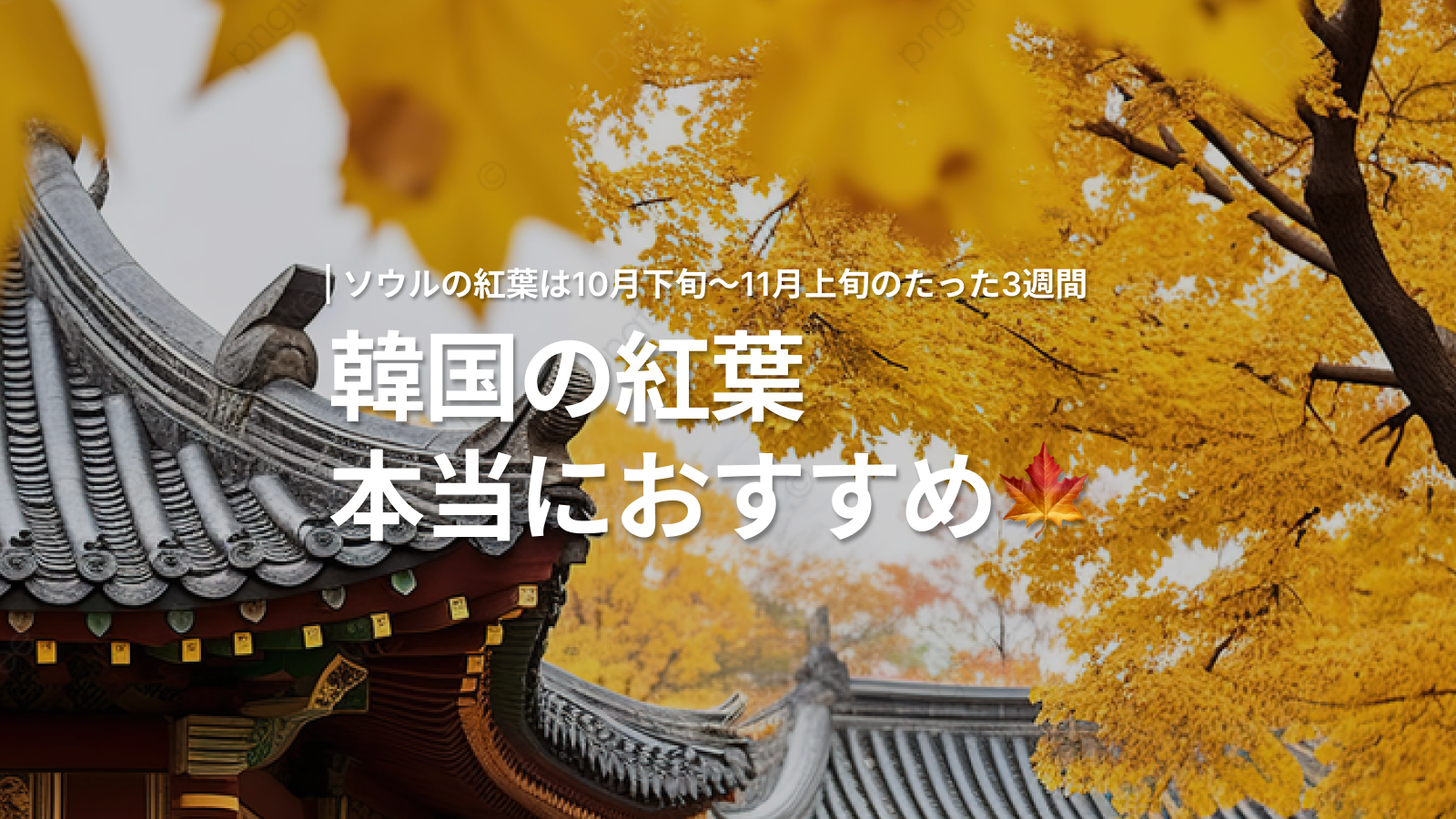【韓国】ソウルの紅葉スポット完全ガイド！旅行スタイル別おす