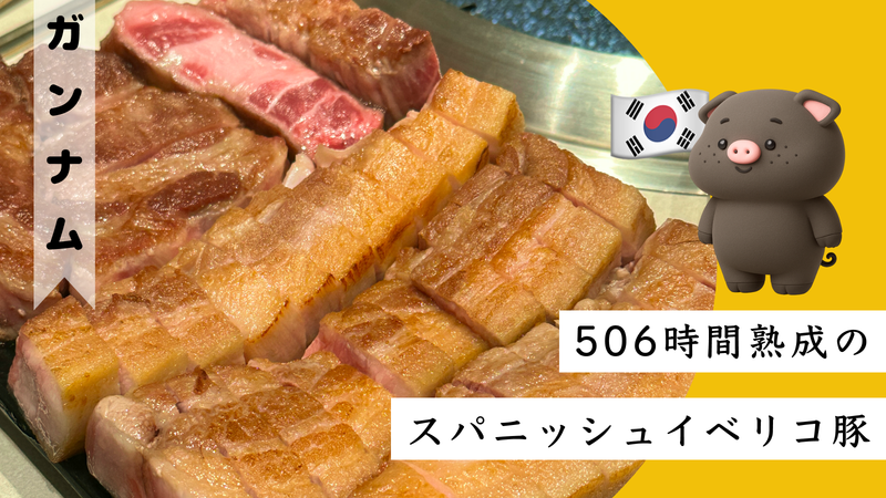 江南で話題のイベリコ豚専門店「돝고기506」506時間熟成