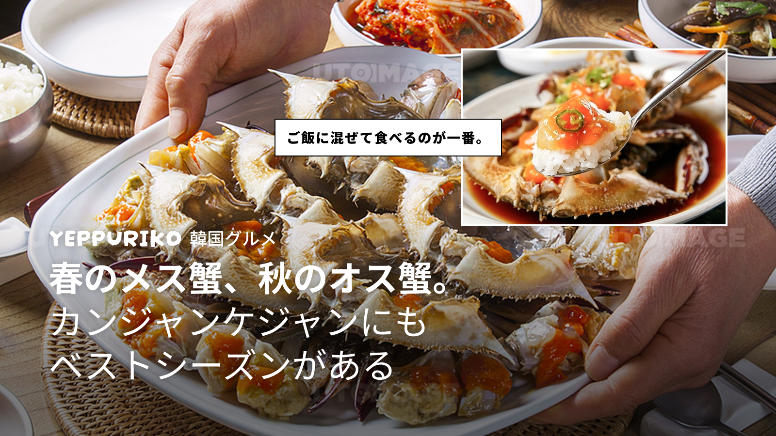 カンジャンケジャン完全ガイド｜韓国のご飯泥棒"の魅力