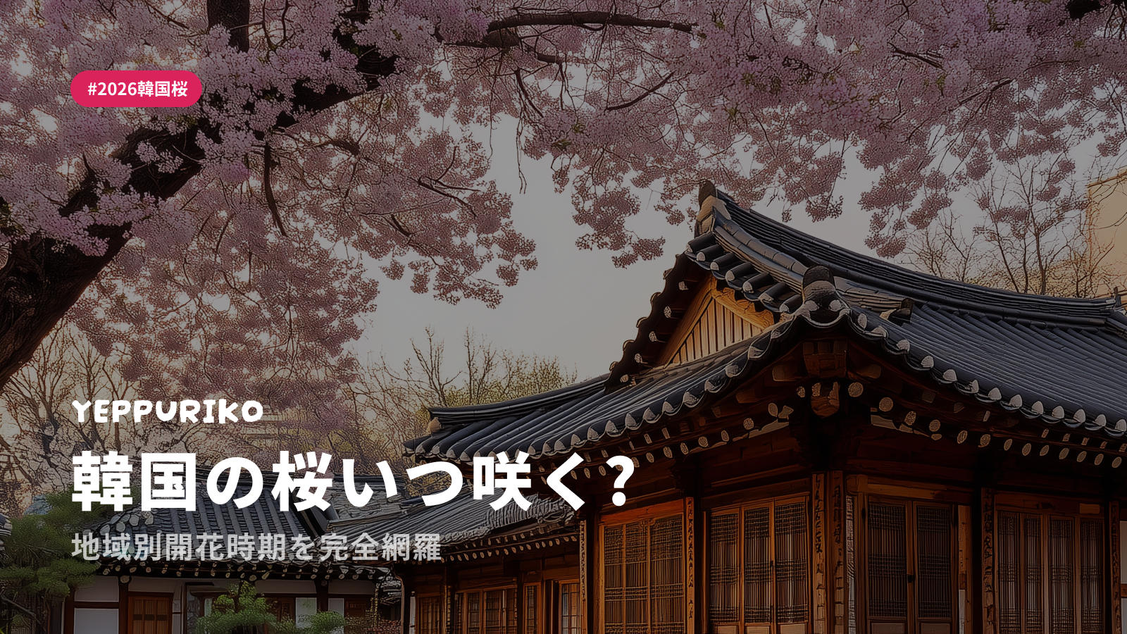 2026年・韓国の桜はいつ咲く？🌸 地域別の開花時期