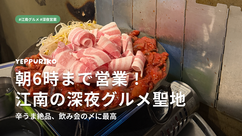 江南の深夜グルメ|朝6時まで営業するテナガダコ専門店【イデパルチュクミ完全ガイド】