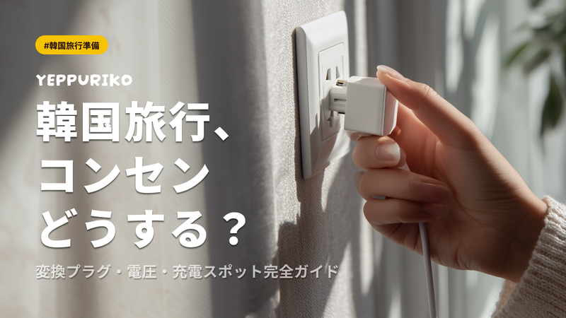Korea Travel Voltage & Outlet Guide | When Do You Need a Plug Adapter or Voltage Converter? A Checklist by Item